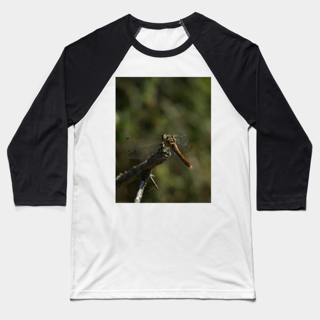 Dragonfly Back Baseball T-Shirt by Nicole Gath Photography